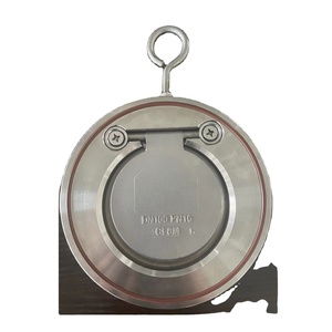 Vanne de retenue unidirectionnelle à <span class=keywords><strong>disque</strong></span> unique avec joint FKM, 2 pouces, pour diverses utilisations, normes DIN/BS/ASME – Vente chaude, prix compétitif, fabrication chinoise - Product Image 4