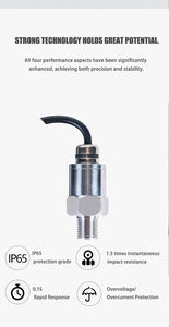 Sensor de Pressão Selado com Rosca G1/<span class=keywords><strong>4</strong></span>, Saída <span class=keywords><strong>4</strong></span>-<span class=keywords><strong>20mA</strong></span>, Proteção IP65, Precisão de 0,5, Faixa de -100KPa a 100MPa - Product Image 6
