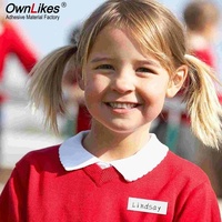 Maßgefertigte Eco-Solvent Flexografie 13\"*19\" A4/A3 Blanko Stoff-Namensschild-Etiketten PET-Klebeetiketten Wasserfest für Laserdrucker