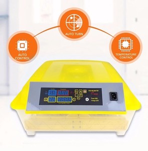 Fully <strong>Automatic</strong> Eggs Incubator and Hatcher Chicken 64 Egg Incubator 12v 220v in South Africa - Product Image 4