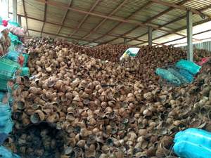 Charbon de bois de noix de coco de haute qualité pour l'exportation à des prix compétitifs du Vietnam - Product Image 6