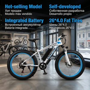 Bicicleta Eléctrica Retro con Llantas Gruesas al por Mayor - SKD/CKD Disponible para Sudamérica con <span class=keywords><strong>Ahorro</strong></span> <span class=keywords><strong>de</strong></span> Impuestos - Bicicleta Eléctrica <span class=keywords><strong>de</strong></span> Montaña <span class=keywords><strong>de</strong></span> Marca OEM - Product Image 2
