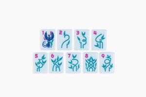 Ensemble de Mahjong américain <span class=keywords><strong>Magic</strong></span> Forest Mushroom, 160 tuiles en acrylique pour les règles NMJL - Ensemble de Mahjong personnalisé de luxe pour le jeu social - Product Image 4