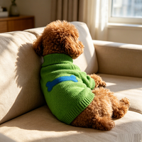 Pull pour animaux de compagnie personnalisable, couleur unie, motif os, confortable, idéal pour l'hiver et les sorties – Vente en gros