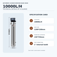 Purificateur d'eau à ultrafiltration automatique avec vanne, 10000 L/H, boîtier métallique, manomètre pour l'alimentation en eau des foyers ruraux