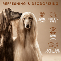 Spray Éliminateur d'Odeurs pour Animaux de Compagnie, Sans Parfum, Écologique, Non Toxique, Type Décomposition, pour Chiens et Chats, Désodorisant Naturel, Élimination Rapide des Odeurs
