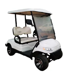 Tongcai 2seater club car ebike street legal 48v battery lithium 4seater electric push cart lithium hunting scooter golf carts