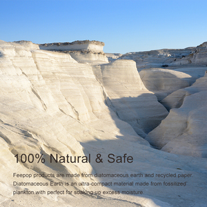 Diatomite batu kucing anjing alas makanan hewan peliharaan cepat kering batu piring anjing tikar untuk lantai penyerap air tikar Diatomite - Product Image 4