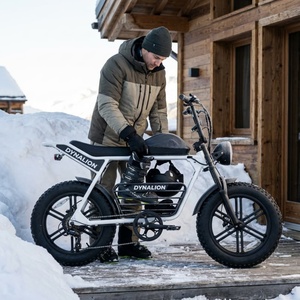 Weißes Fatbike E-Bike mit Scheibenbremsen, Resort-Ebike für Skiresort-Transport - Product Image 6