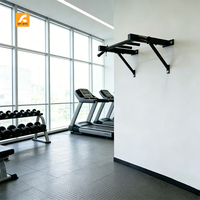 Barre horizontale multifonctionnelle pour tractions, barre parallèle simple, équipement de fitness avec trous pour fixation murale domestique