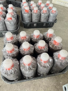 Machine entièrement automatique de conditionnement et de couverture de champignons pour la culture à grande échelle - Product Image 4