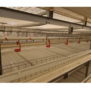 H Type Broiler Cage Battery Chicken Cages for sale Chicken Cage with PP Belt Manure Removal System