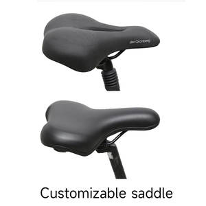 Vélo électrique TXED haut de gamme, fabrication OEM, cadre 700*42C, moteur central 36V 250W, 8 vitesses internes, pour les trajets quotidiens, longue autonomie, vélo électrique de ville - Product Image 6