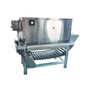 Chain Onion Peeling Machine Skin Peeler Onion Air Peeling Machine