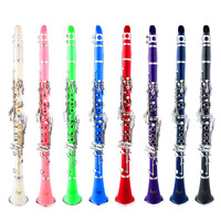 Professional Performance 17-Key Ring B-Grade Clarinet Woodwind Instrument Cloth Box