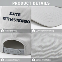 Gorra de Béisbol Personalizada con Letras Bordadas Vintage, Estilo Oxford Twill, Visera Plana, Color Gris Claro, 6 Paneles, Deportiva, Streetwear, Unisex