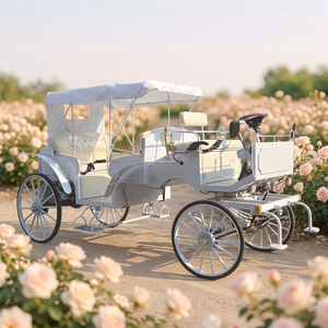 Carroza Eléctrica de Cuatro Ruedas de Acero para Exteriores, Nueva, de Alta Calidad, Apta para Princesas o Familias Reales, a Bajo Precio - Product Image 1