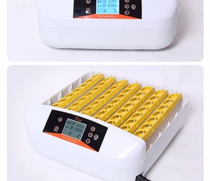 Incubadora de Huevos de Gallina Mini 56, Precio Promocional HHD, Totalmente Automática para <span class=keywords><strong>Pollitos</strong></span> con Función de Prueba LED - Product Image 4