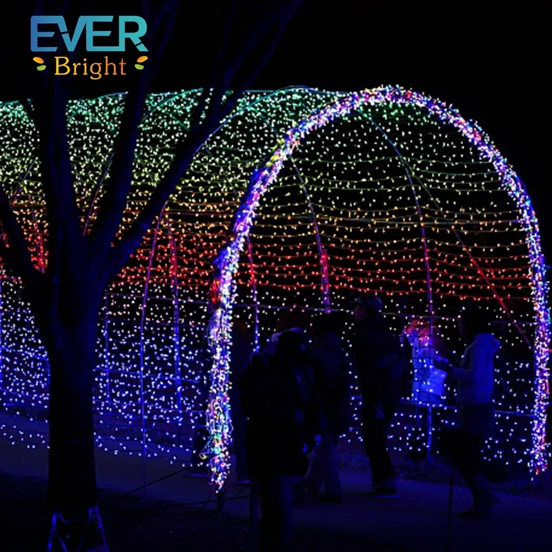 Tunnel mutevole di colore programmabile all'aperto dell'illuminazione della luce di natale per la decorazione di festival del grado commerciale