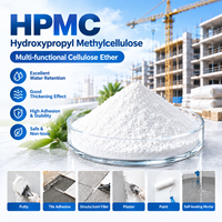 HPMC Hydroxypropylméthylcellulose Éther de cellulose pour mastic, adhésif pour carrelage, plâtre, coulis, mortier autolissant