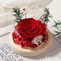 Rose et Tournesol Naturels Conservés Sous Cloche en Verre Faite à la Main avec Base en Bois – Fleurs Éternelles pour Décoration Intérieure, Remise de Diplôme, Mariage, Saint-Valentin