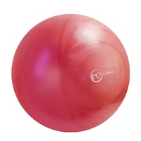 Zhensheng gros gym pilates grossesse anti-éclatement naissance balle de yoga