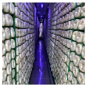 Túnel de Privación de Luz para Cultivo de Hongos con Sistema de Control Ambiental Automático, Precio de Fábrica - Product Image 5