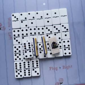 Set di Domino Personalizzato in Acrilico, Doppio Sei 6 Nove con Blocchi Domino di Diverse Dimensioni per Giochi da Tavolo da Casinò - Product Image 4