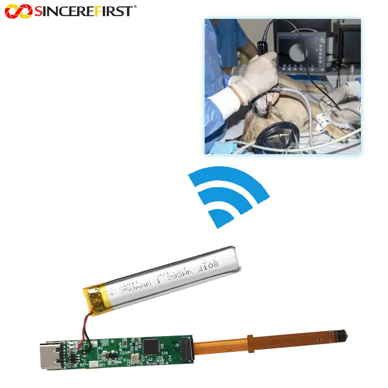 Modulo telecamera per endoscopio industriale Wifi per la pulizia dell'orecchio portatile ad alta definizione Micro otoscopio visivo per il trattamento dell'animale domestico