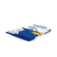 Drapeau de la Louisiane 100 % polyester, personnalisé, 3-5 pieds, pour l'élection américaine en extérieur, fanion promotionnel