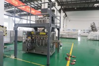 Machine d'emballage horizontale automatique pour le remplissage et le bouchage de sachets à bec verseur