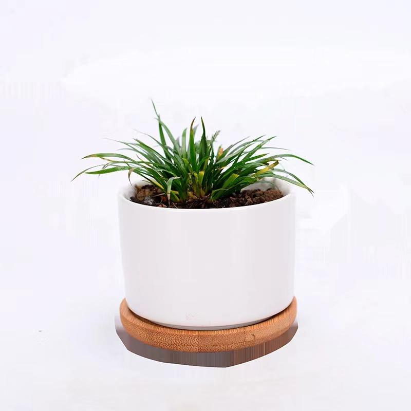 Blanco (sin soporte de bambú)