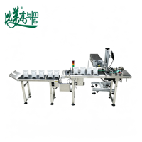 Machine de marquage laser pour emballages flexibles personnalisés, pour la suppression des défauts de marquage laser, réalisation d'un contrôle de codage en ligne de haute précision