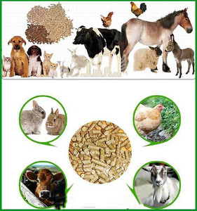 家禽用の飼料血中タンパク質濃縮物 - Product Image 4