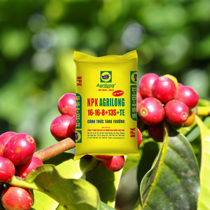 Fertilizante NPK Premium de Vietnam 16-16-8+13S+TE Líquido Granular Estimula los Capullos de Flores Mejora la Floración AGRILONG - Product Image 2