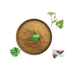 مصنع توريد آيزو الحلال كوشير استخراج آشيتابا أفضل جودة استخراج أنجليكا كيسكي - Product Image 2