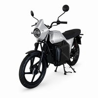 Wholesale Daily Commute High Speed Electric Adult Motorcycle High Performance Mid Drive Motor 85Km/h Electric Motorbike