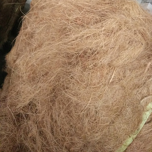 3000Pcs elektrikli çift davul hindistan cevizi fiber makinesi hindistan cevizi lifi hindistan cevizi Defibering makinesi fiyat - Product Image 2