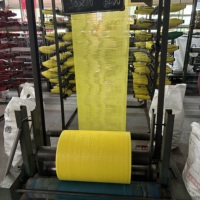 Productie van pp-mesh tassen op maat, goede kwaliteit, voor uien, aardappelen, groenten en fruit, verpakkingsmaterialen.