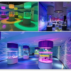 תכנון בהתאמה אישית, תחזוקה של תצוגות מים גדולות מאקריליק, אקווריום דגים - Product Image 6