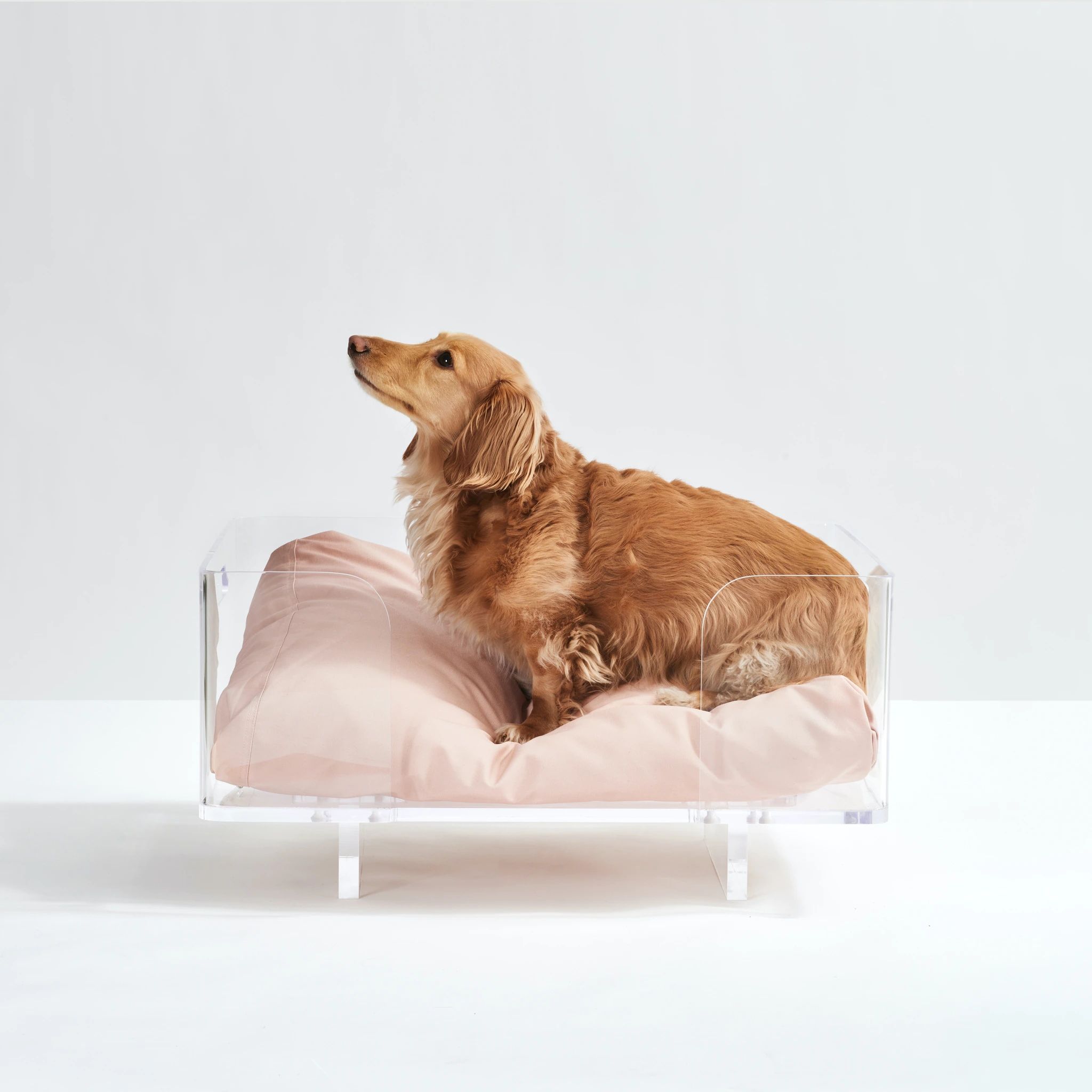 Clear Acrylic Dog Bed Customizable Pet Correction Bed