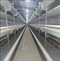 Gallinero Prefabricado de Estructura de Acero Ligero / Nave para Granja Avícola / Gallinero para Pollos de Engorde y Ponedoras para 5000/10000/20000 Pollos