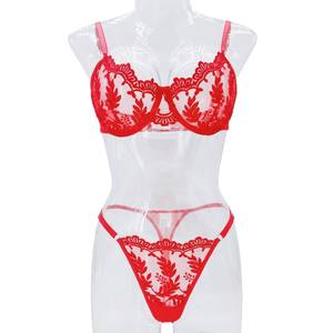 Conjunto de Lencería Sexy para Mujer con Bordado de Encaje Floral, Control Firme, Malla Ultrafina Transparente, Sujetador Push-Up, Tanga Exótica de Dos Piezas - Product Image 4