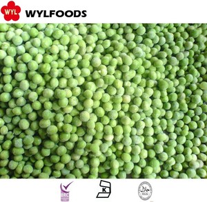 ถั่วเขียวแช่แข็งถั่วเขียว400gm 10กก. pck ถั่วเขียวสดและ DRA - Product Image 2