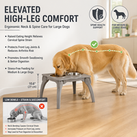 Gamelle surélevée en acier inoxydable pour animaux de compagnie, design respectueux des moustaches avec support cervical, compatible lave-vaisselle pour petits et moyens animaux