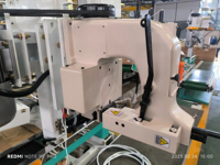 Balance de remplissage et de scellage électronique quantitative haute productivité Ewinall DCS-50A1 5-25 kg |   Sacs/Pochettes semi-automatiques pour aliments