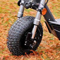 Trottinettes Électriques Pliables OEM pour Adultes, Puissantes, 3000W 2000W, Type Citycoco, pour Fabricants