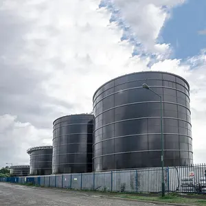 Metano anaerobico Biogas piani di digestione con eccellente resistenza alla corrosione