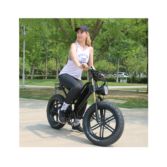Sport Pedal Assist EBike Electric Bicycle Electric Cycle Mountain Bike Fat Tire Electric Bike 750W Fatbikes