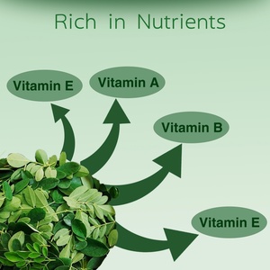 OEM/ODM Moringa Pure Capsules Hot Sales for Adults Not for Teenagers Children & Pregnant Women - Product Image 4